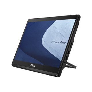 ASUS ExpertCenter E1 AiO E1600WKAT PN441281-CA