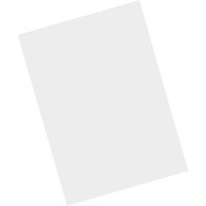 Zebra MISC-MC93-SCRN-01 handheld mobile computer accessory Screen protector