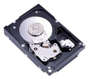 Fujitsu MAW3300FC internal hard drive 300 GB 10000 RPM 8 MB 3.5" SCSI