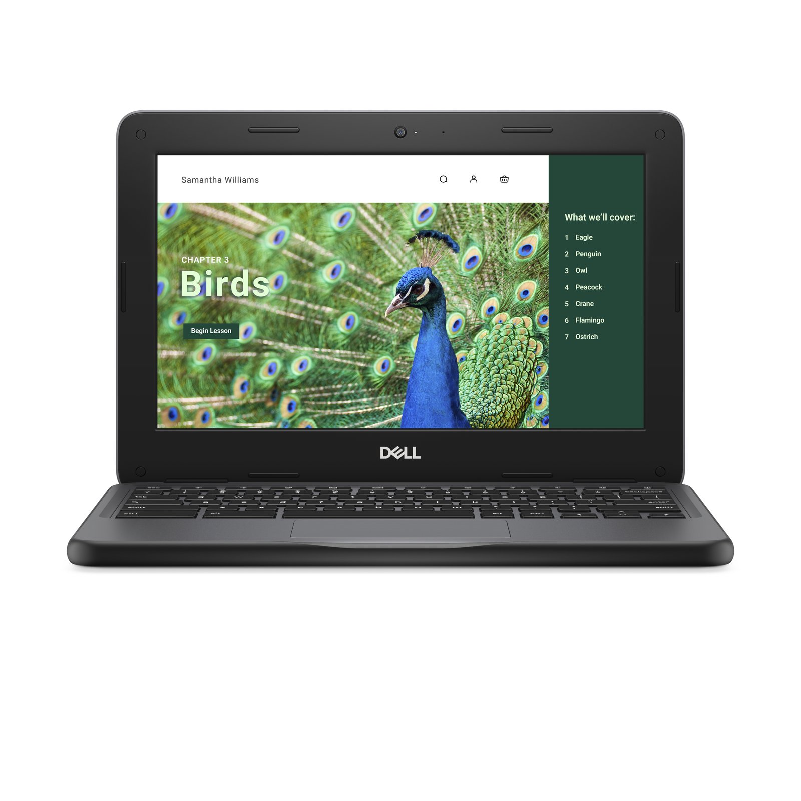 DELL Chromebook 3120 Intel® N N100 29.5 cm (11.6") HD 8 GB LPDDR5-SDRAM 64 eMMC Wi-Fi 6 (802.11ax) NRD5N