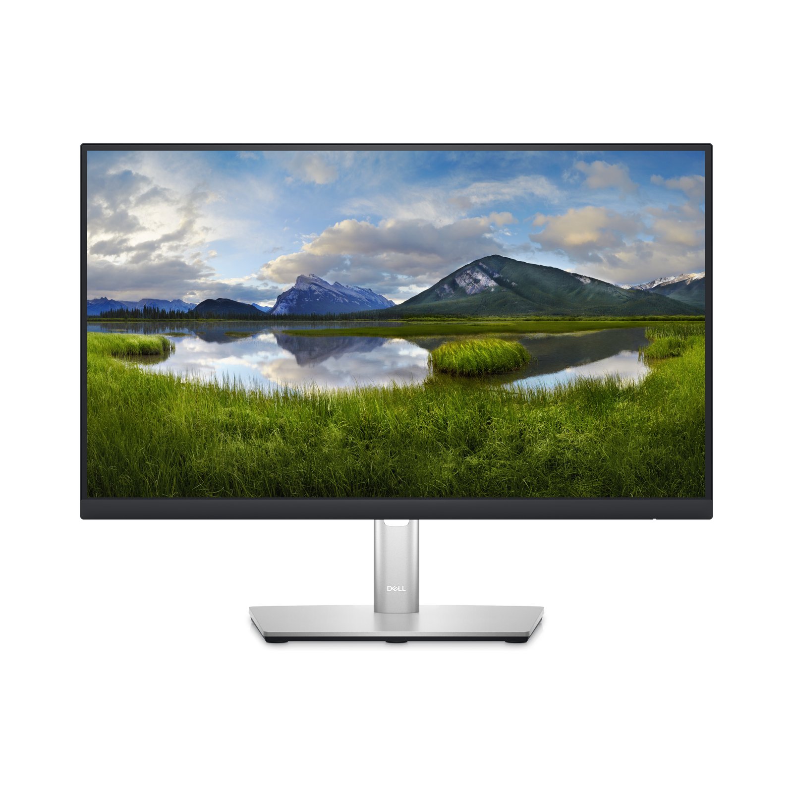 DELL P Series 22 Inch USB-C Hub Monitor - P2223HC DELL-P2223HC