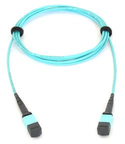 Allied Telesis AT-MTP12-5 InfiniBand/fibre optic cable 5 m MTP